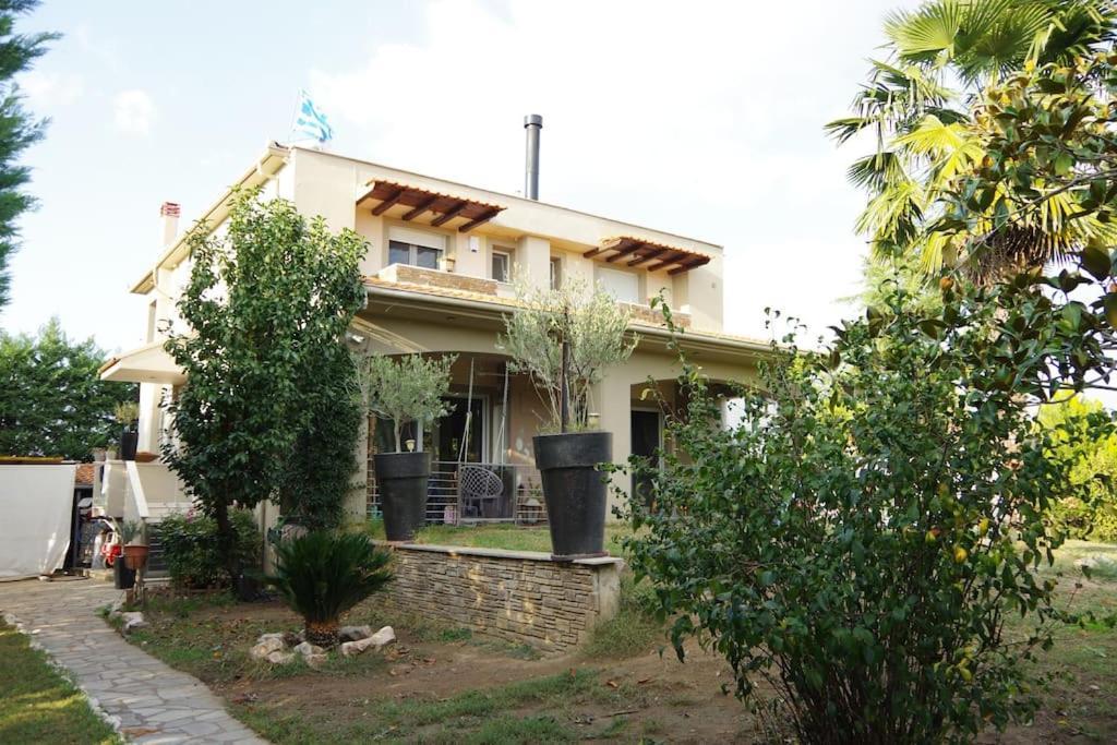 Villa Vasili Трикала Екстер'єр фото